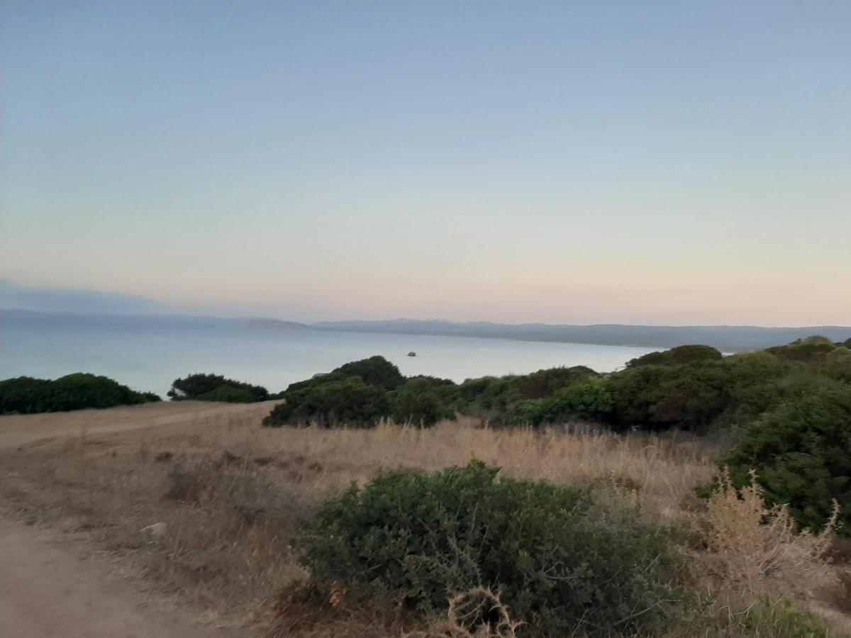 Appartamento Residence Mirice Vignola Mare Aglientu Casa Giorgia Bagian luar foto